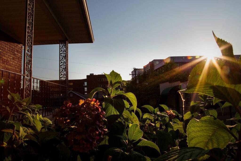 Hilltop Hideaway - 3Bdr In Downtown London, Ky ภายนอก รูปภาพ